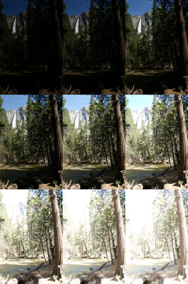 Yosemite Falls Mosaic 