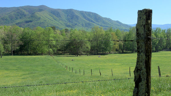 Cades Cove Locally Rendered