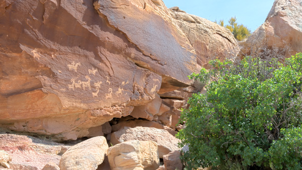 Petroglyphs Locally Rendered