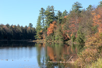Middle Pond Thumb