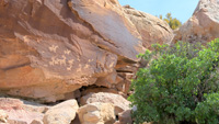 Petroglyphs Thumb