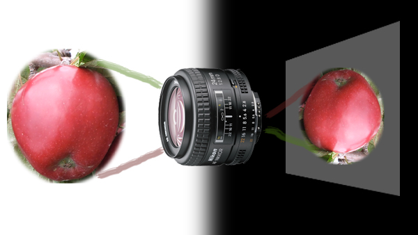 A silly camera with an apple...