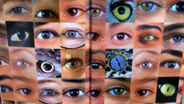Various Eyes from Exploratorium Book