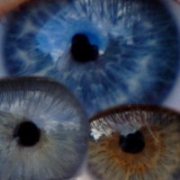 Blue, Gray, & Hazel Eyes