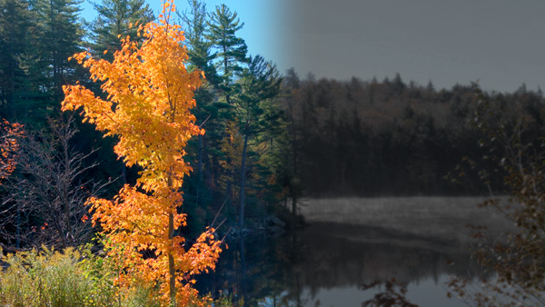 Mason Lake in the Adirondacks in Daytime and Simulated Nighttime