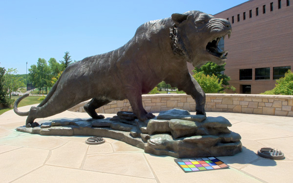 The RIT Tiger casting a shadow on the Munsell Color Checker Chart